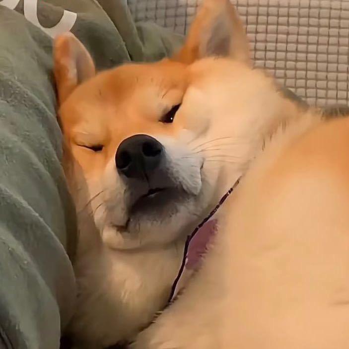 咪咪蛋