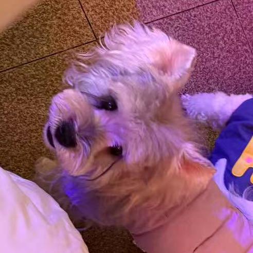 饱饱饿饿小包ʕ•̫͡•ᰔᩚ