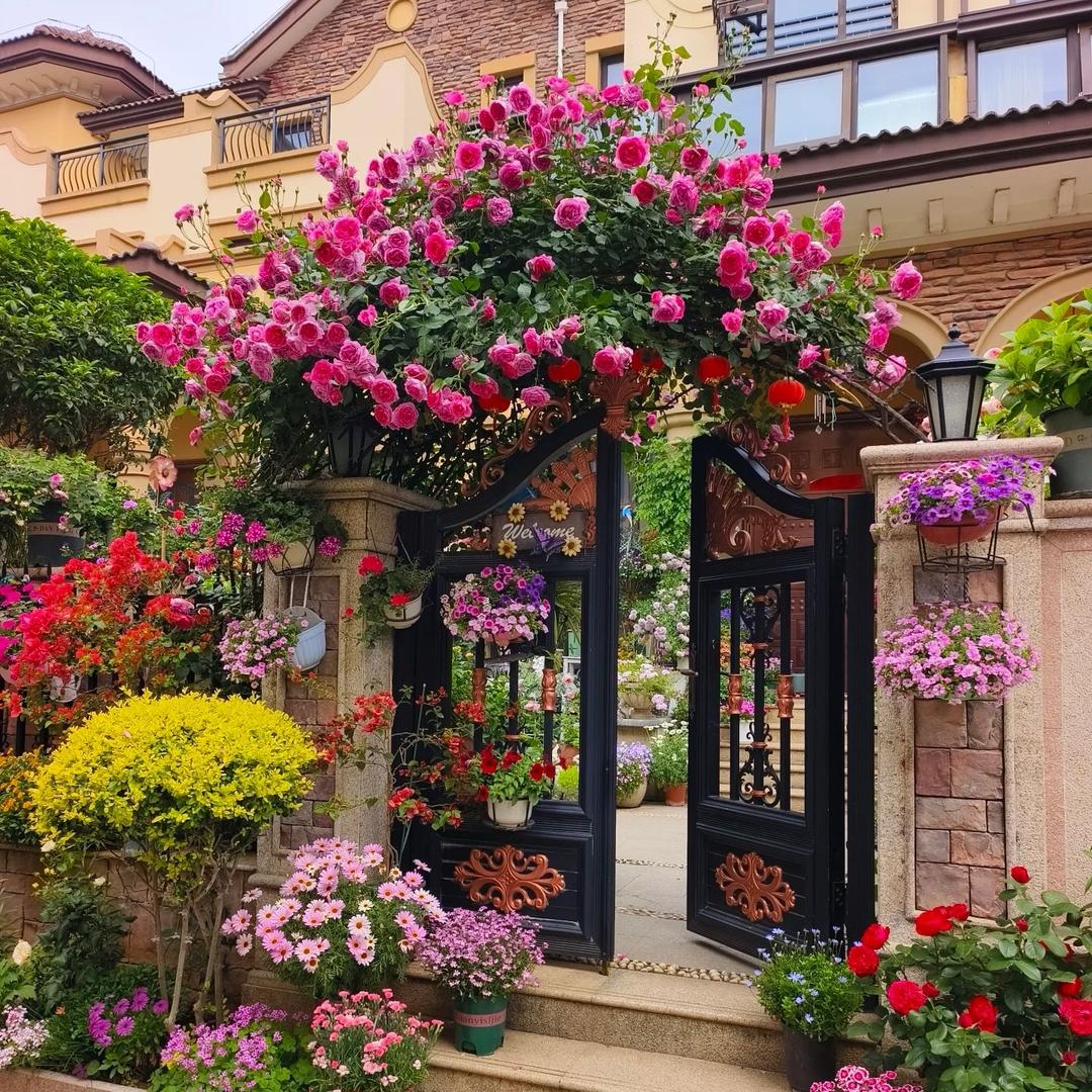 邻里邻居小花园
