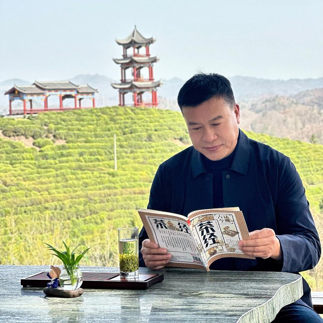 茶人张谈茶