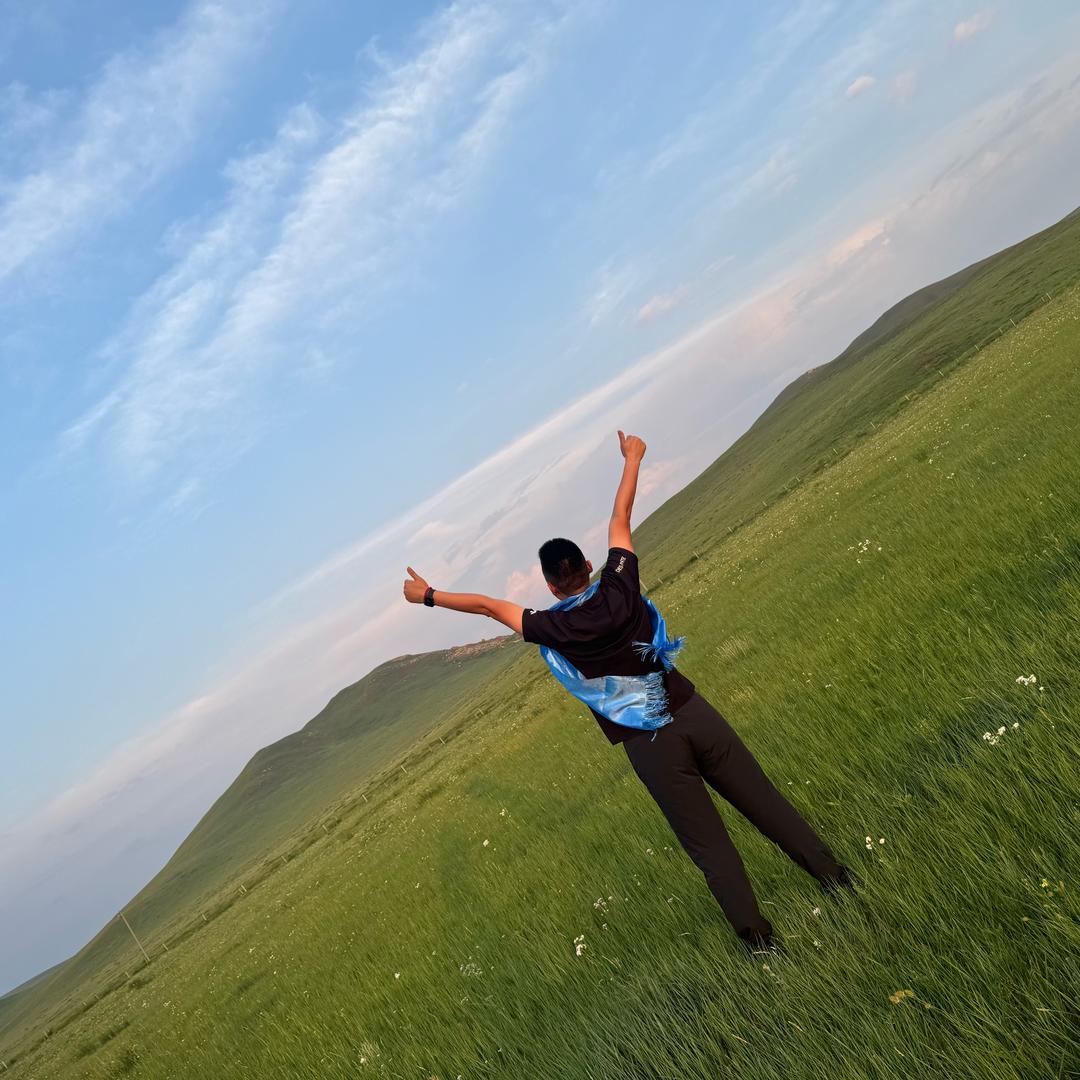 普锰开平板 汽车钢 特种钢