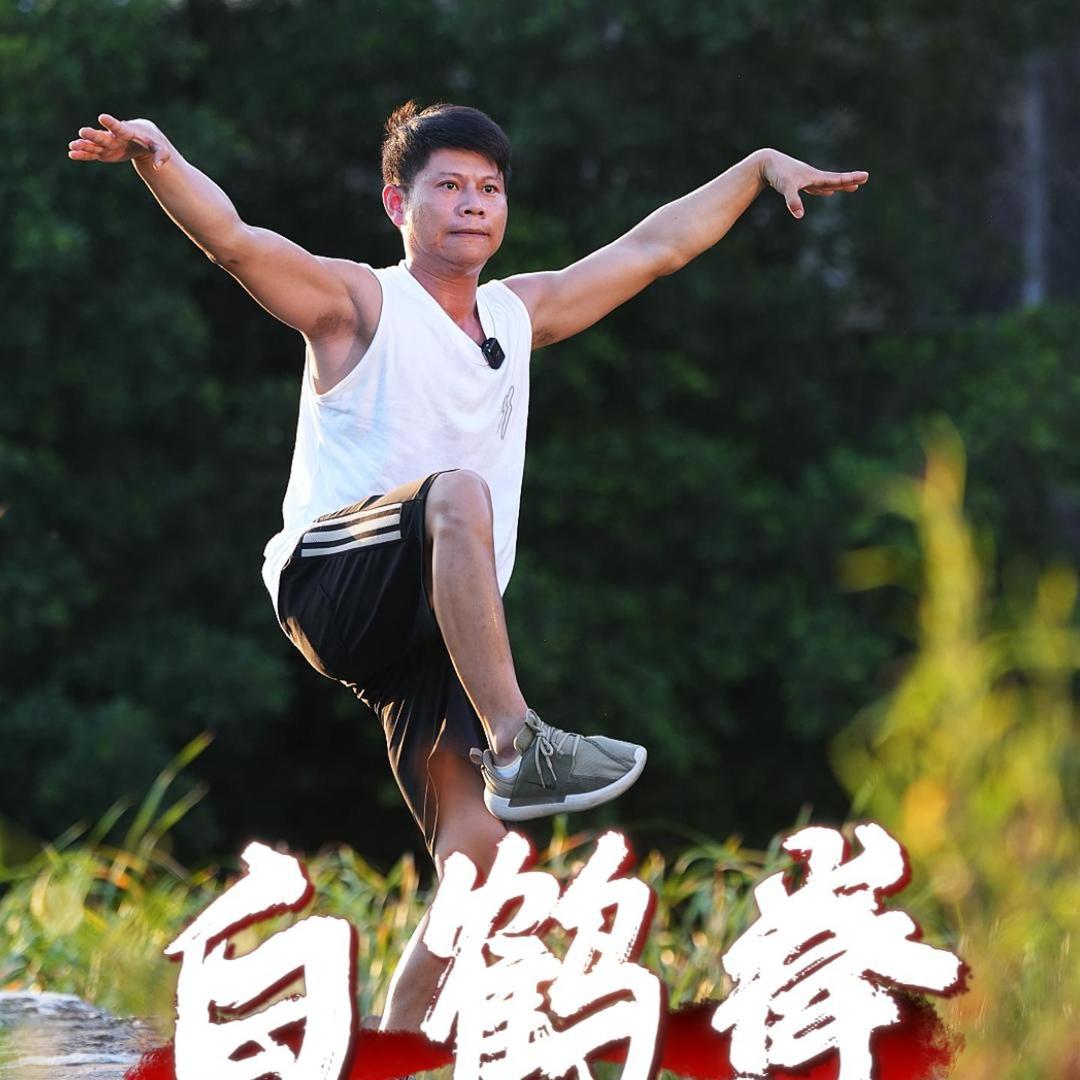 南派武艺鹤拳