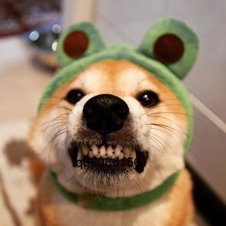 赖语激昂