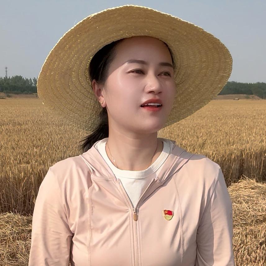 村书记小刘🌾