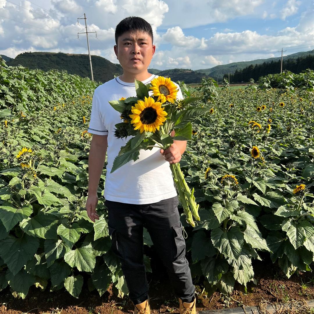 木萝花园