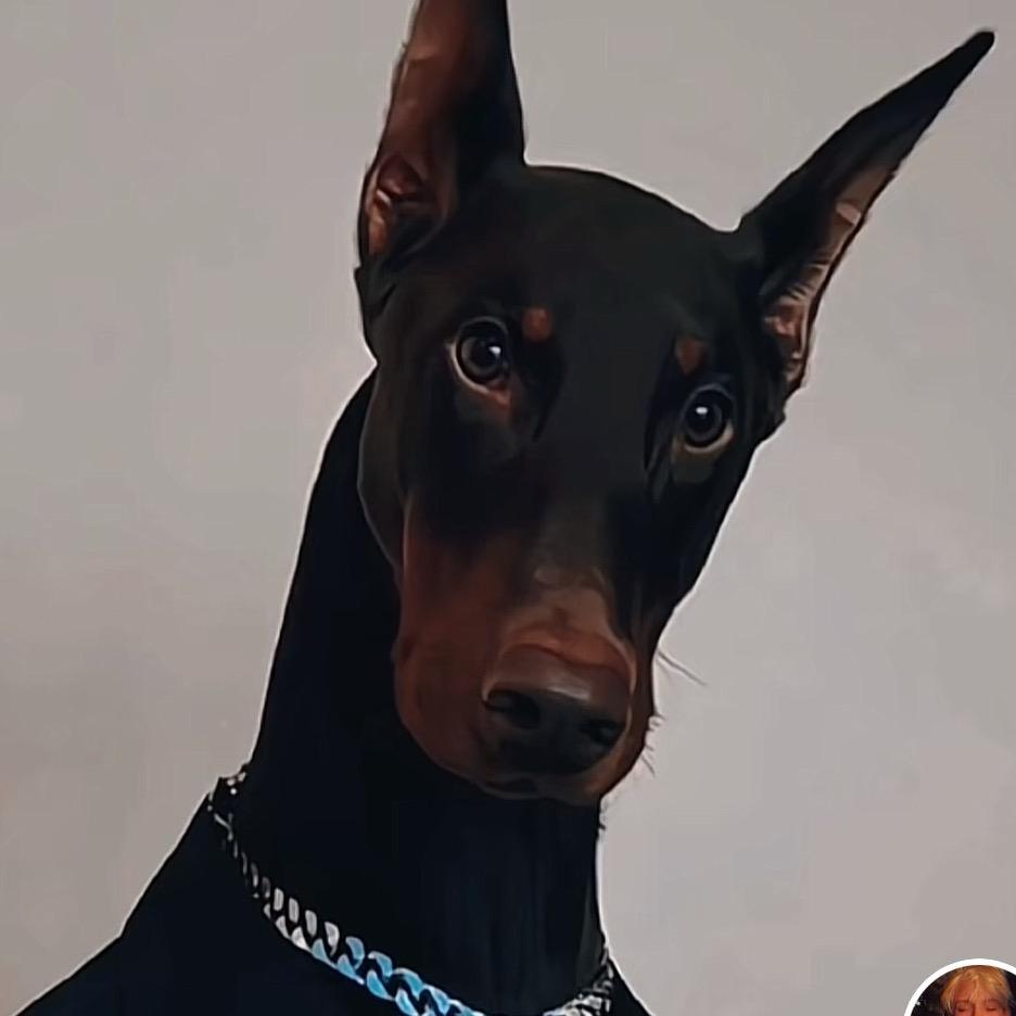 三月游戏