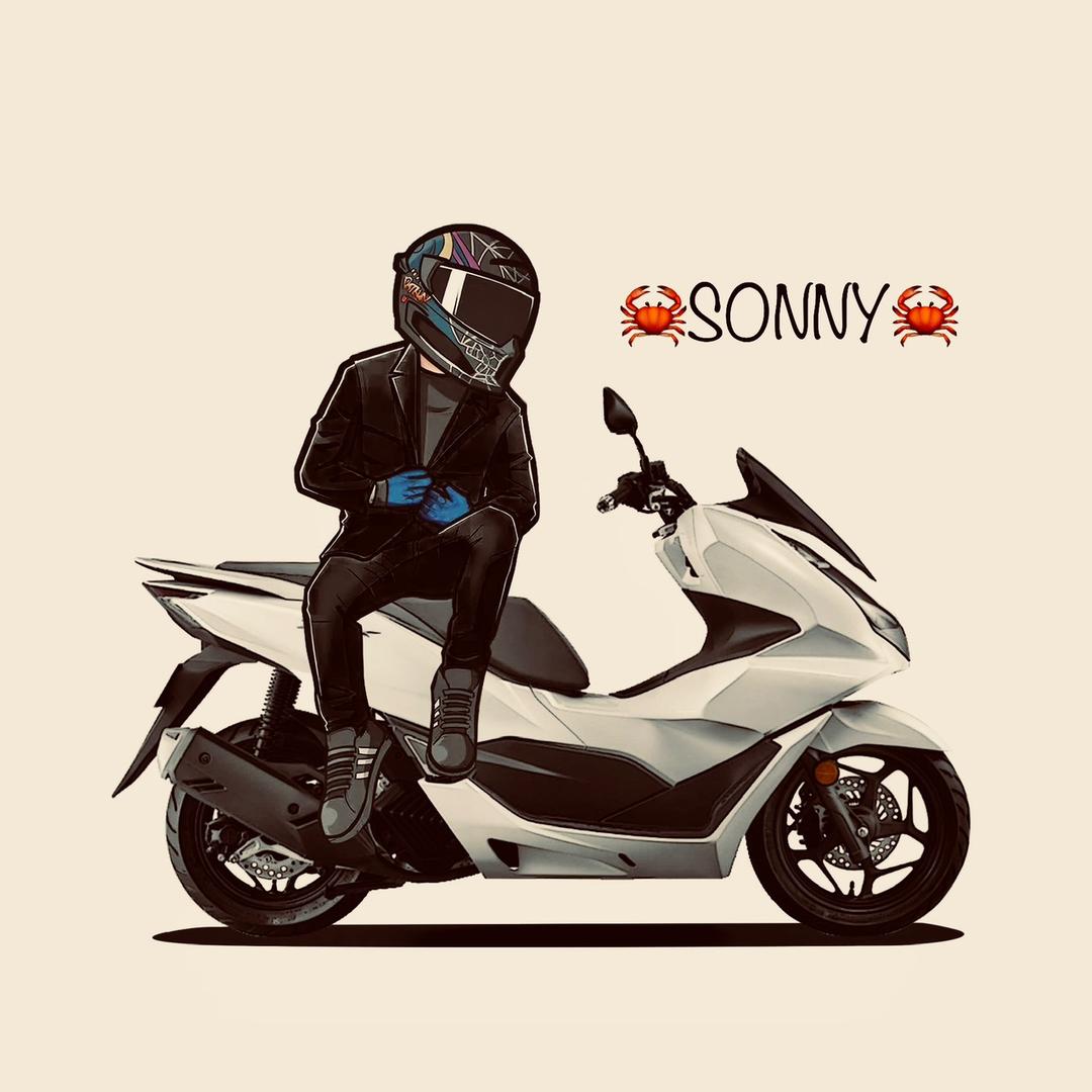 🦀SONNY🦀头像