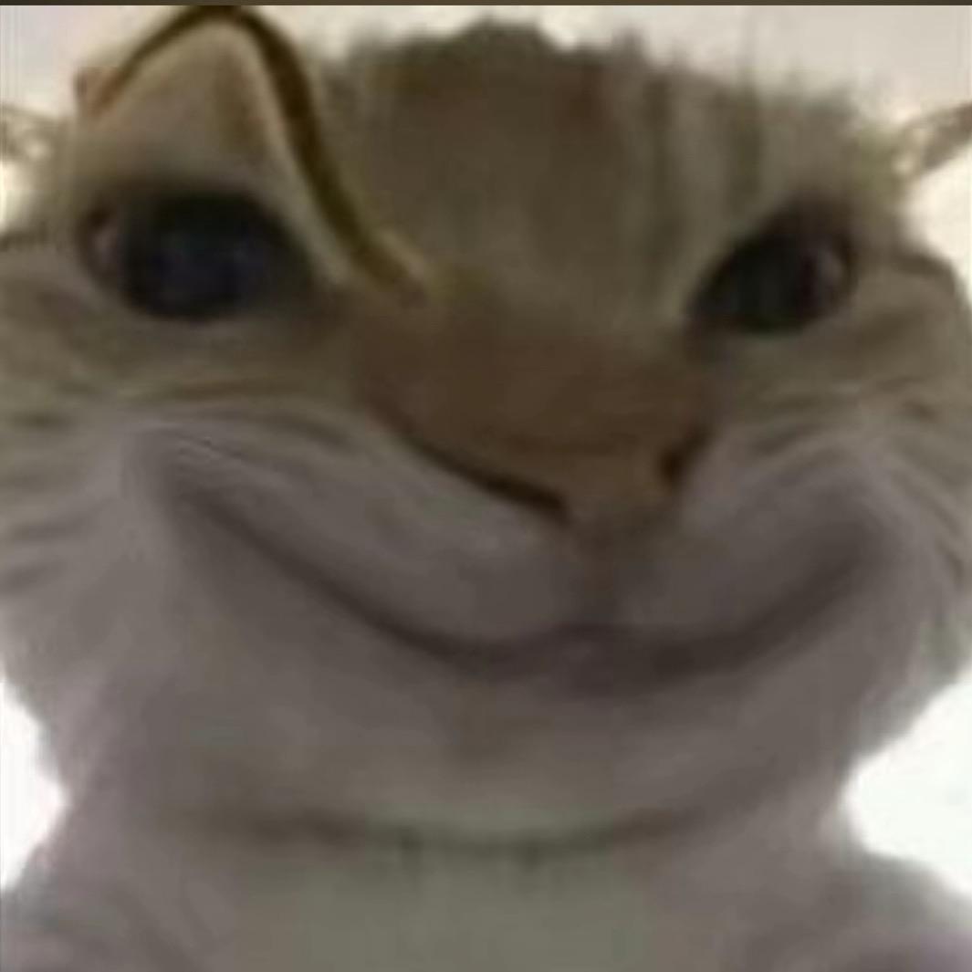 爱跑刀的哈基蜂