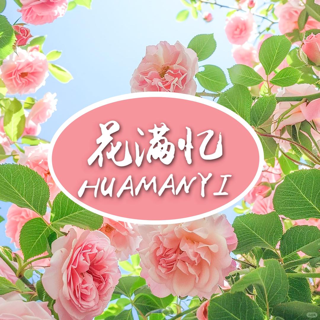 花满忆鲜花同城生活鲜花随便