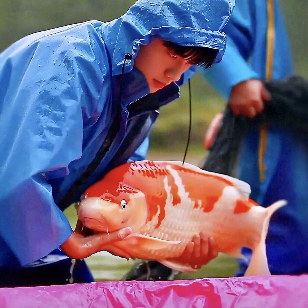 锦鲤KOI169170666