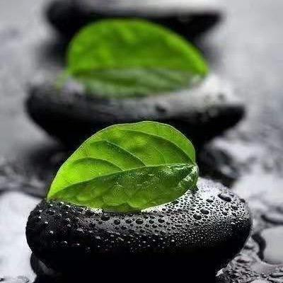 我叫刘锦译