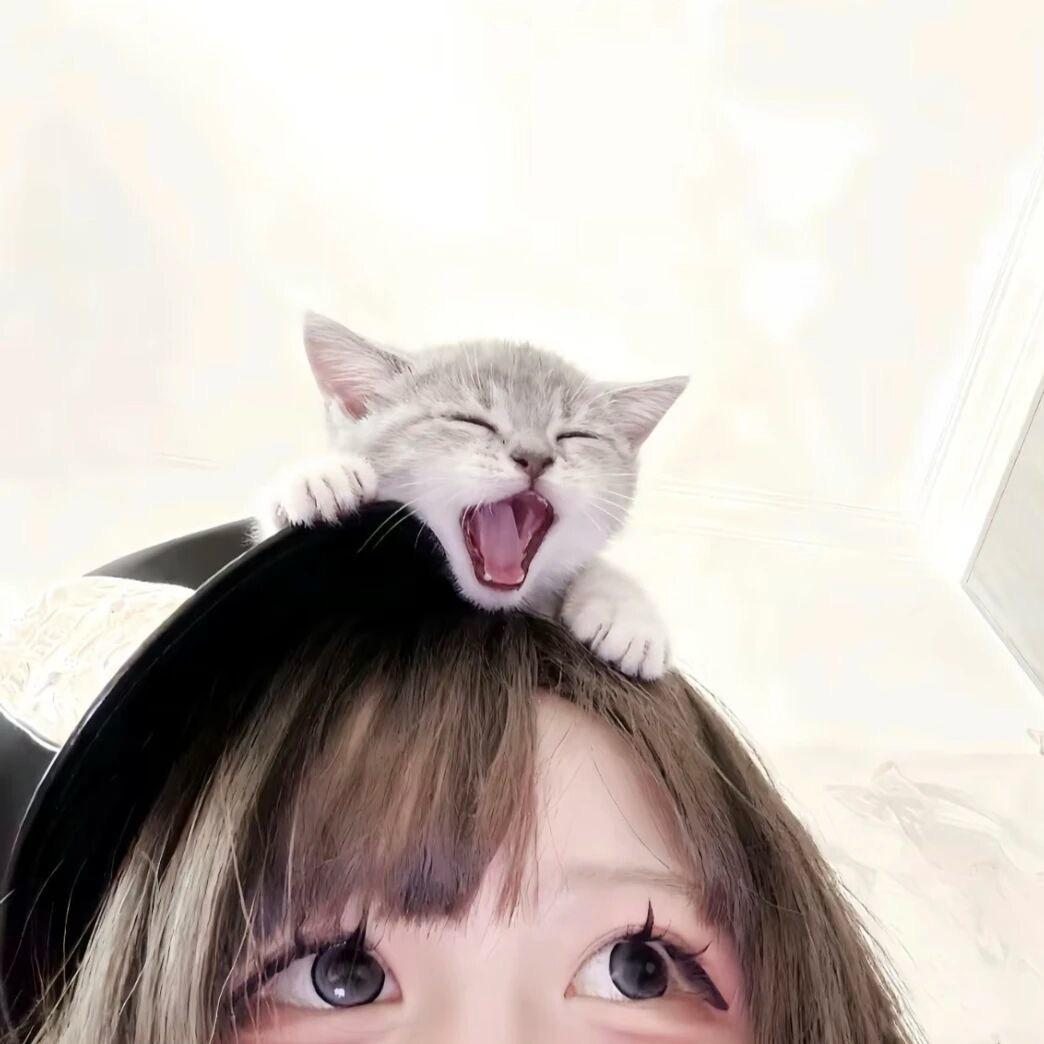 一颗鲜葱
