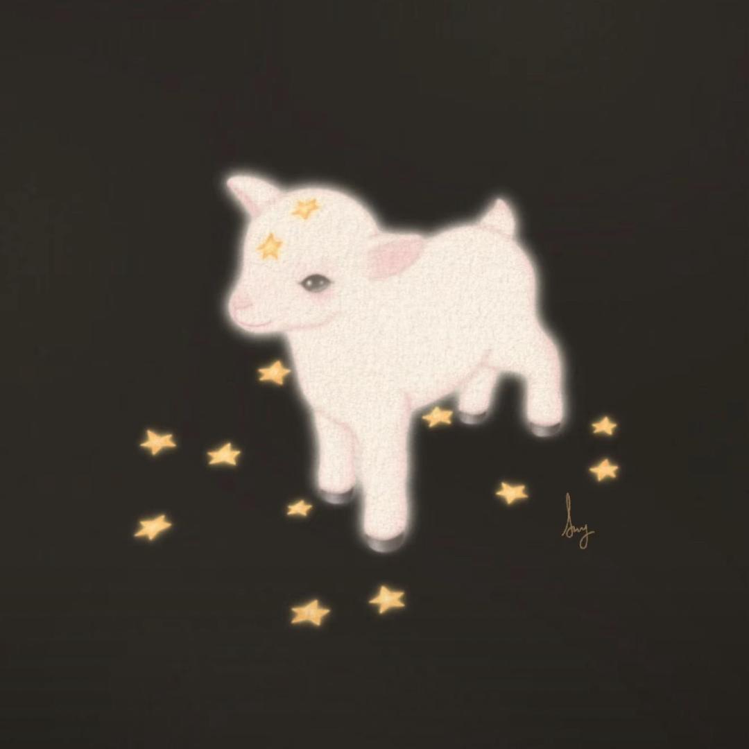 抱聪聪