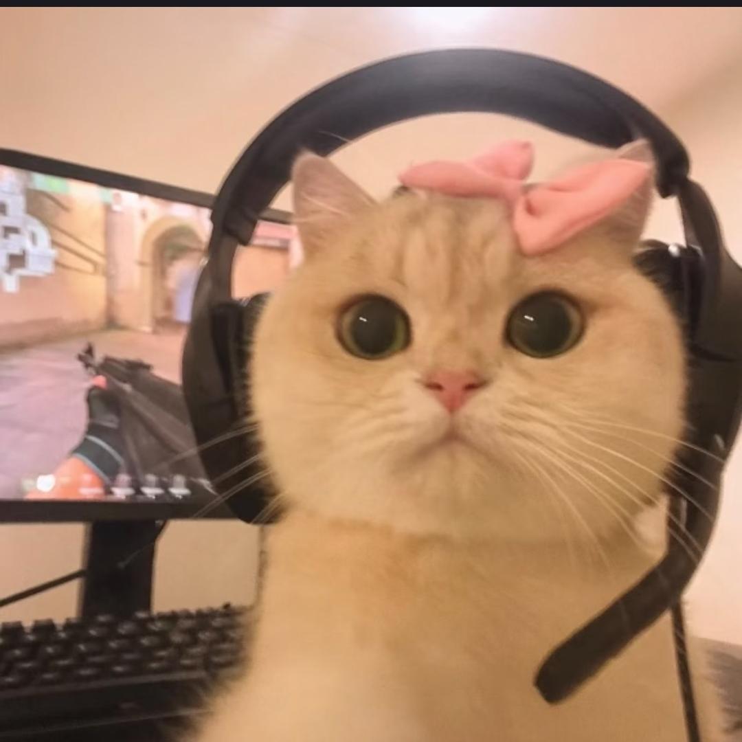 My 日记/•᷅•᷄\୭