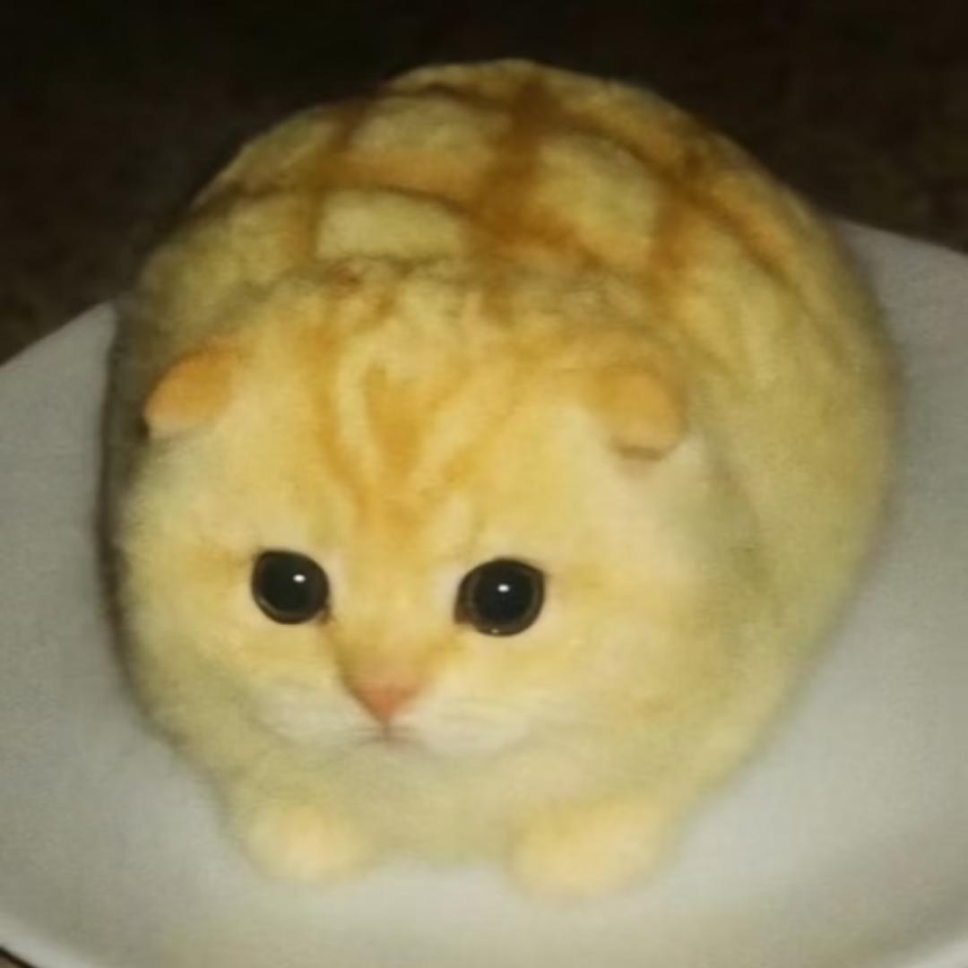 71130