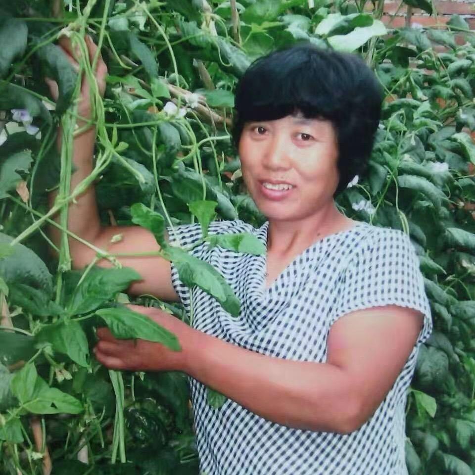 木工电动五金工具大全