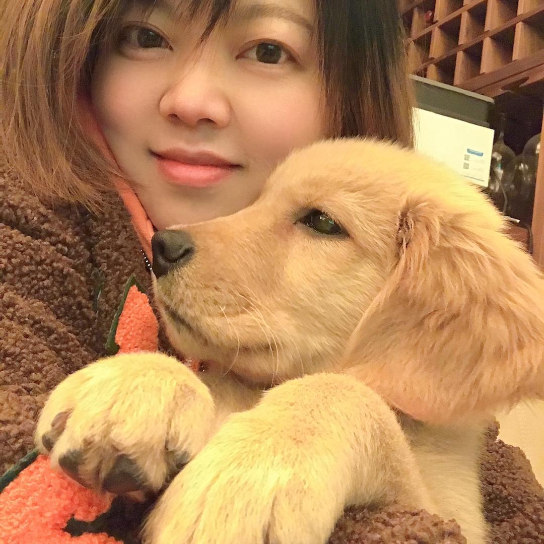 黄烁贻和金毛旺旺