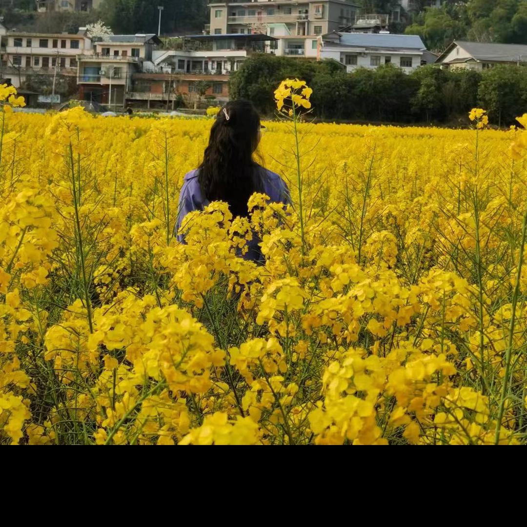 李家丫头