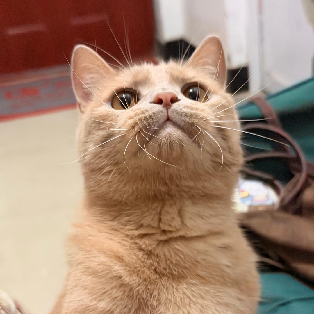 小梦…