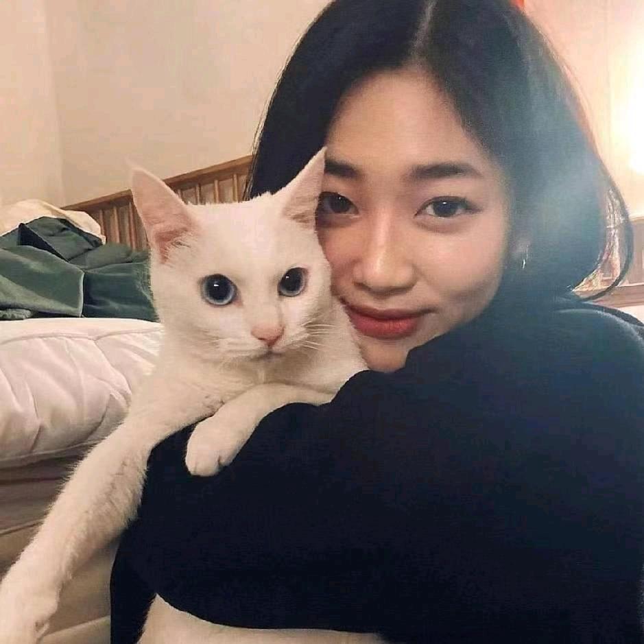 小雪的百宝箱