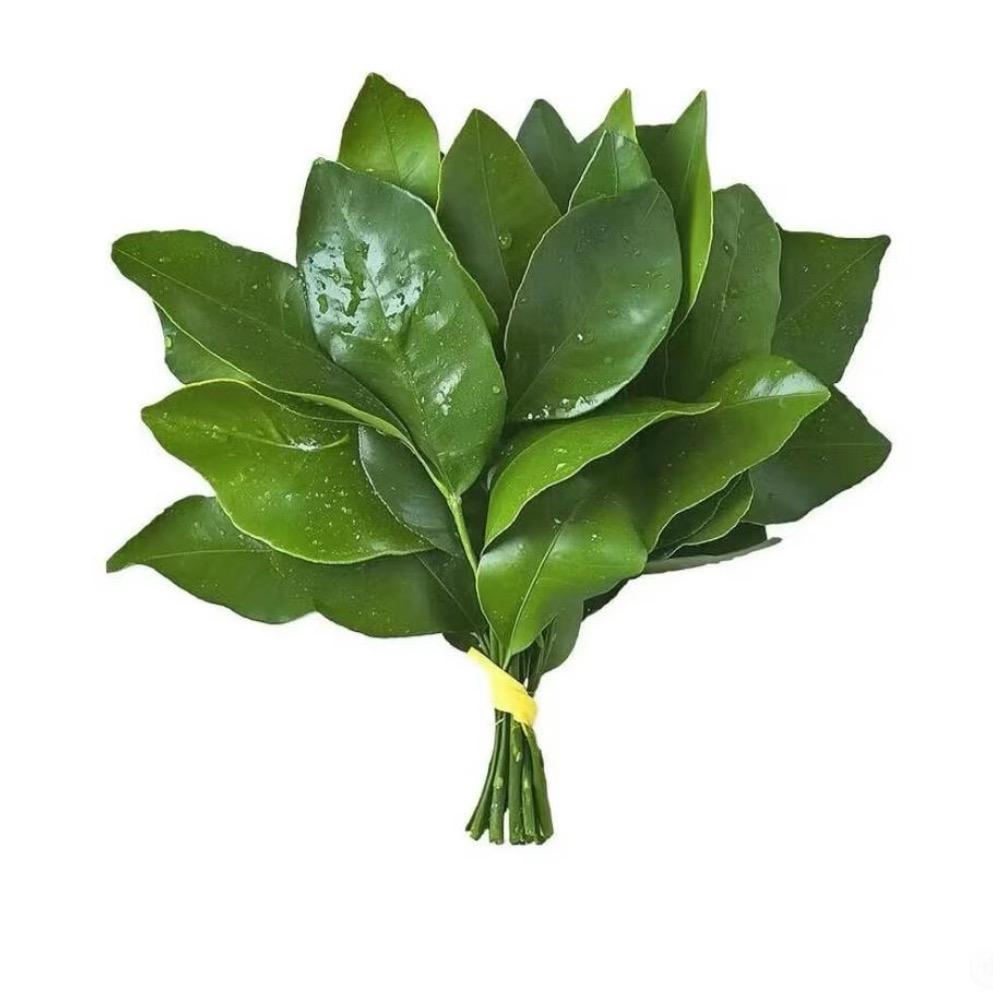 小可爱