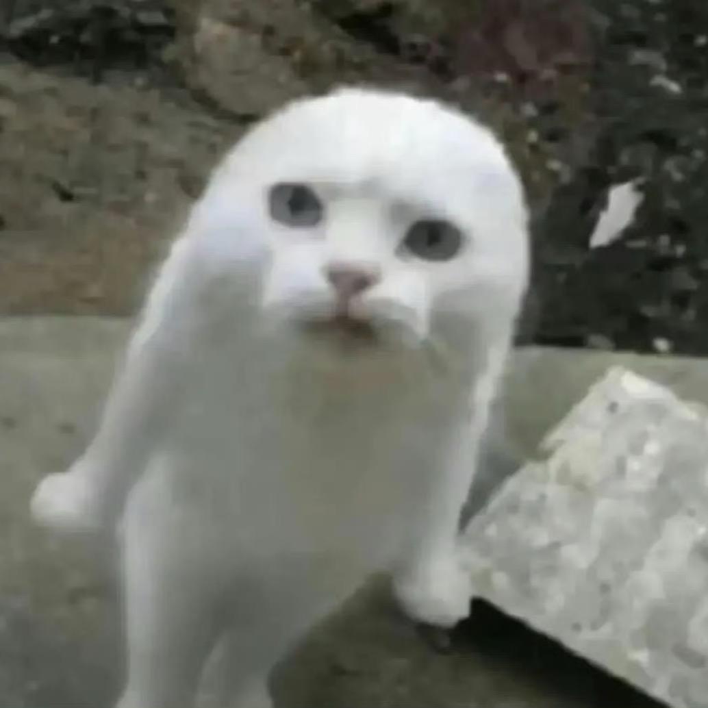 得讯看点