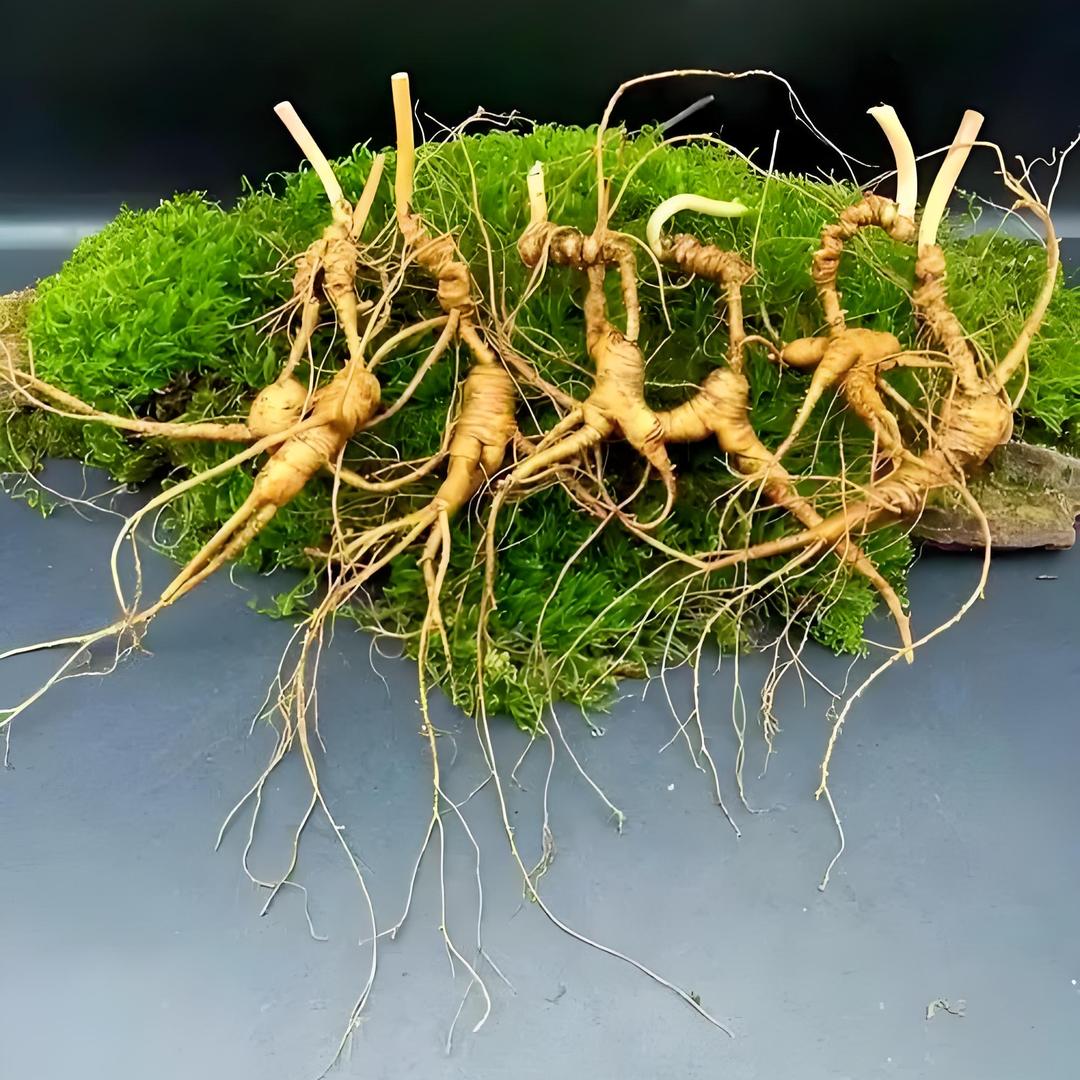 参山颖宝农副产品