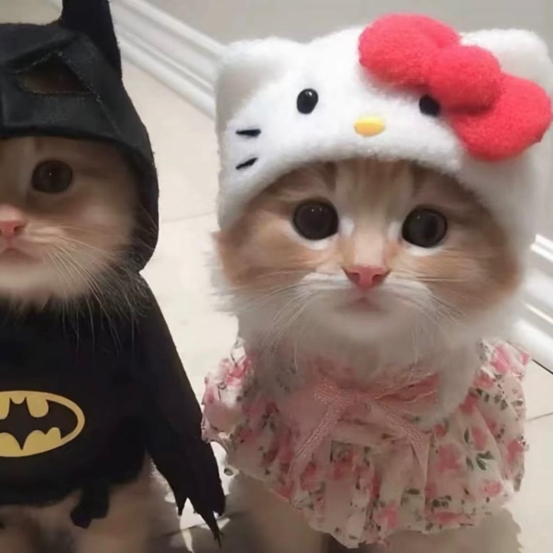 去太空整点薯条