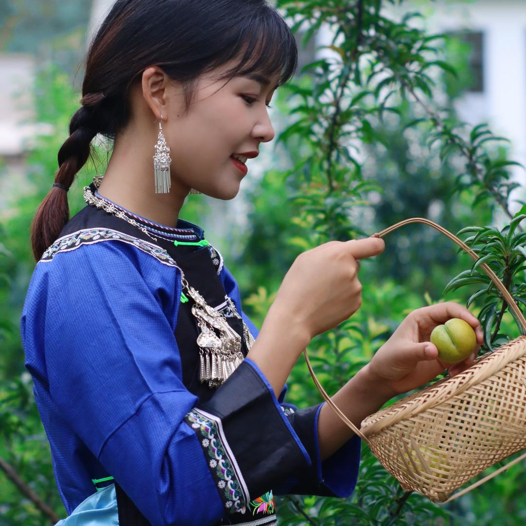 六马蜂糖李小蝶