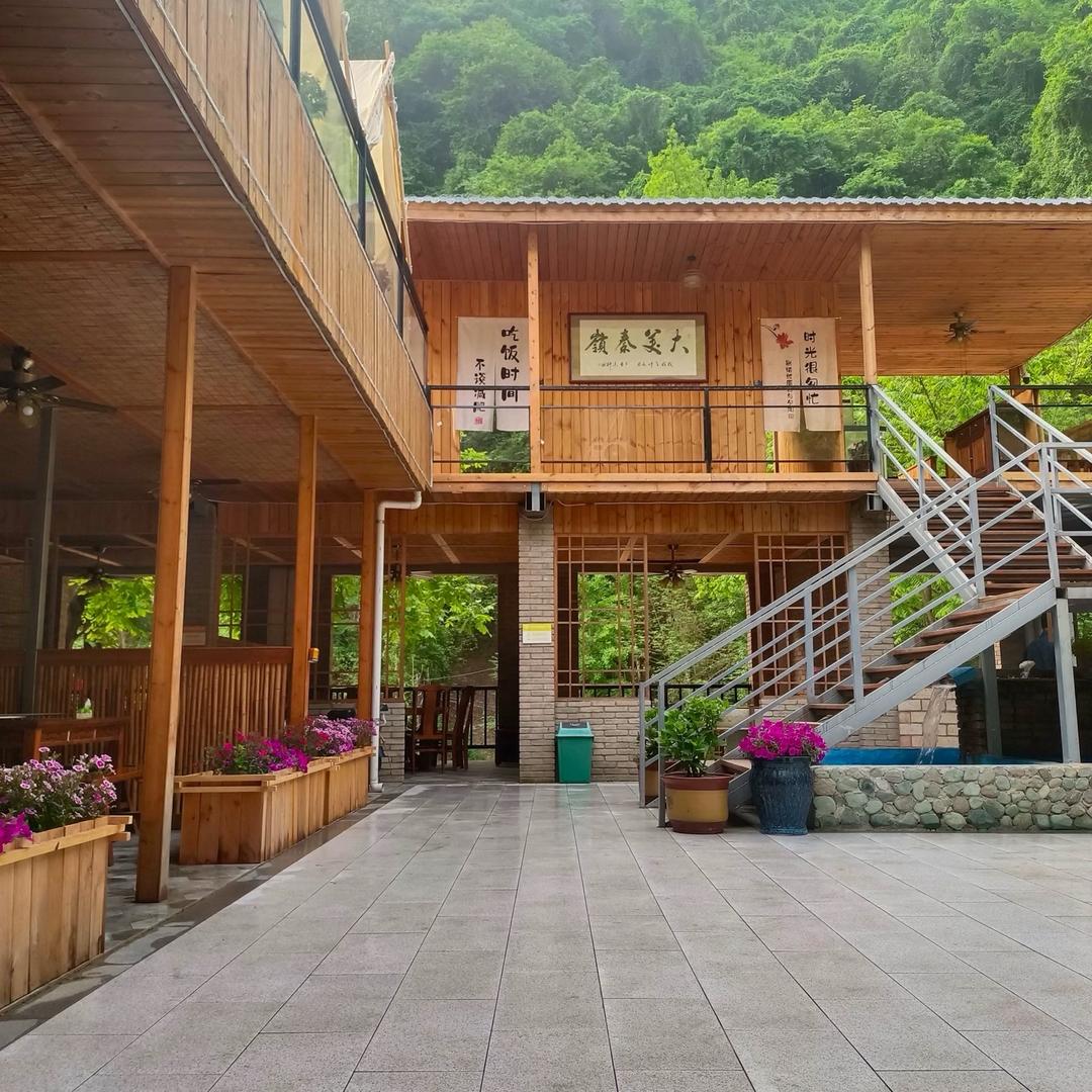 门口的，蔷薇花