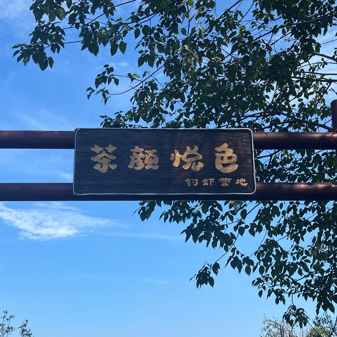 茶颜悦色钓虾营地🦐