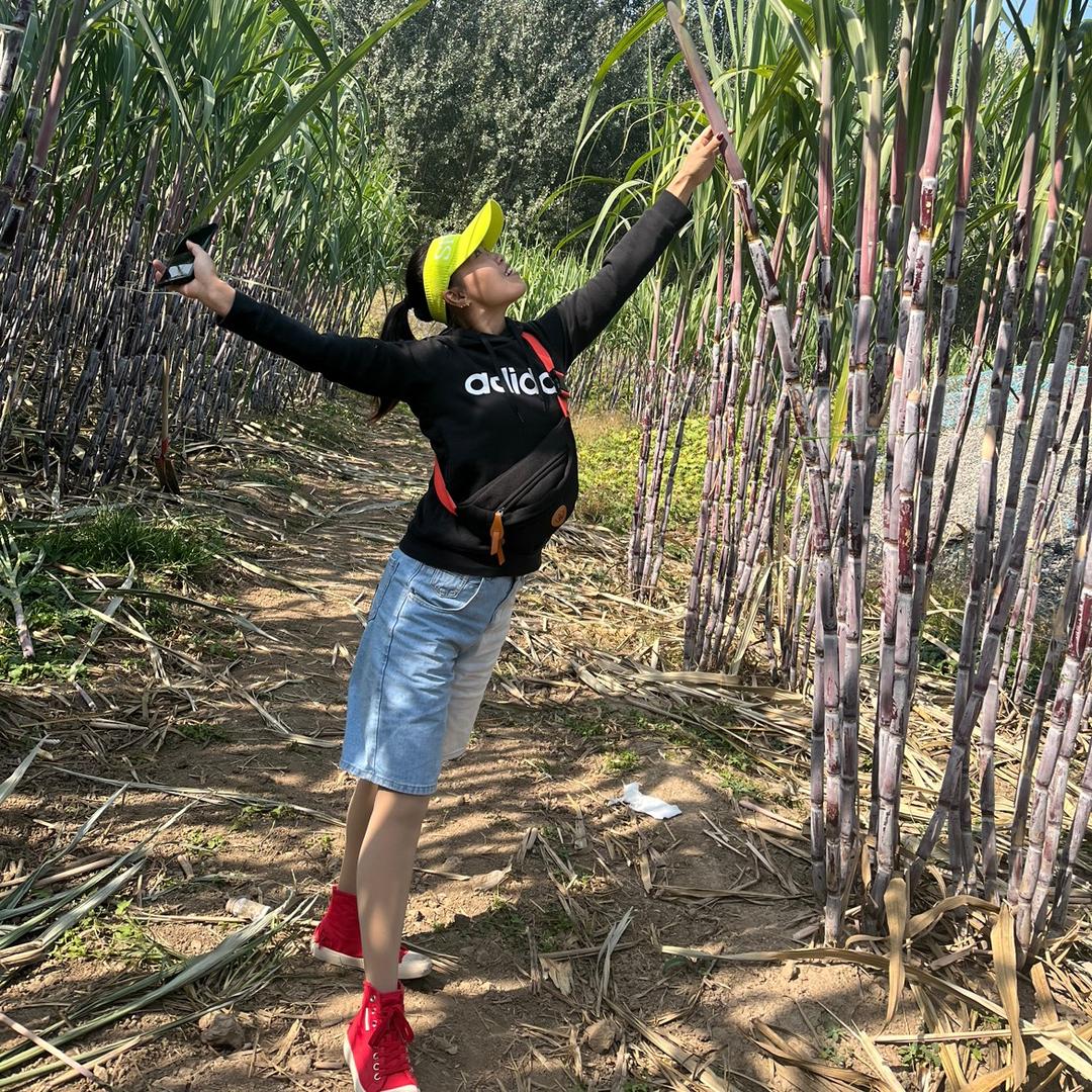 芹姐3开播号在主页