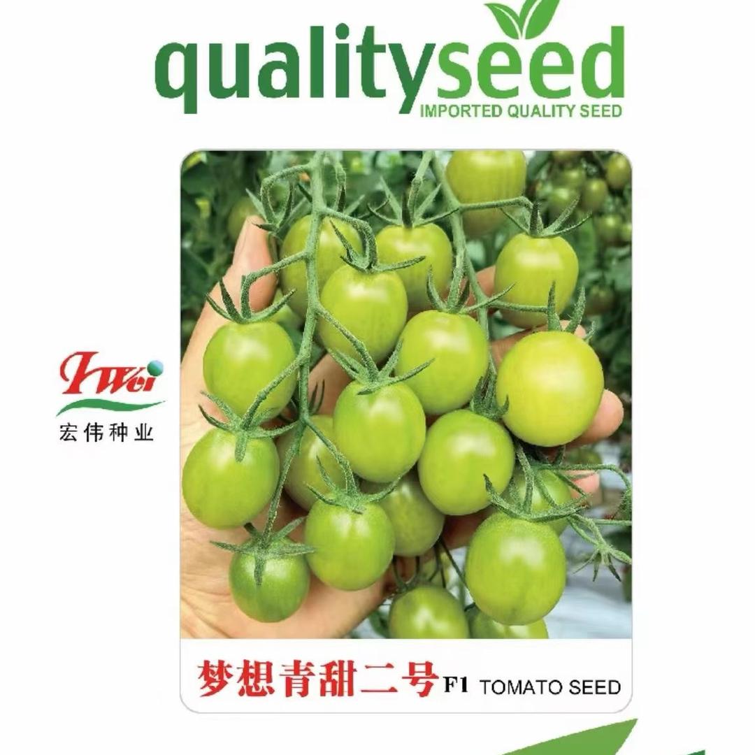 宏伟种业  王伟