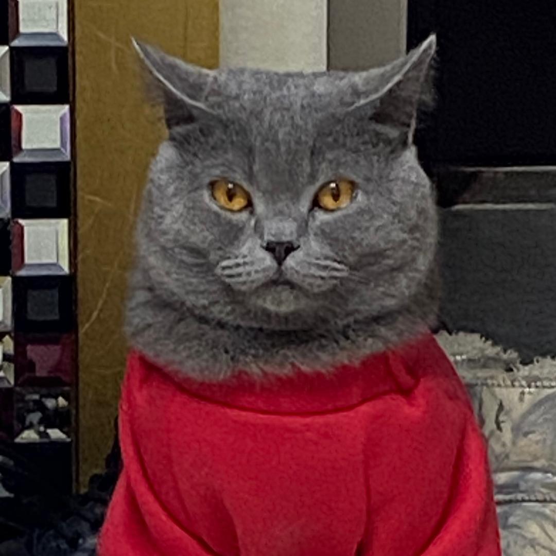 旺旺碎冰冰