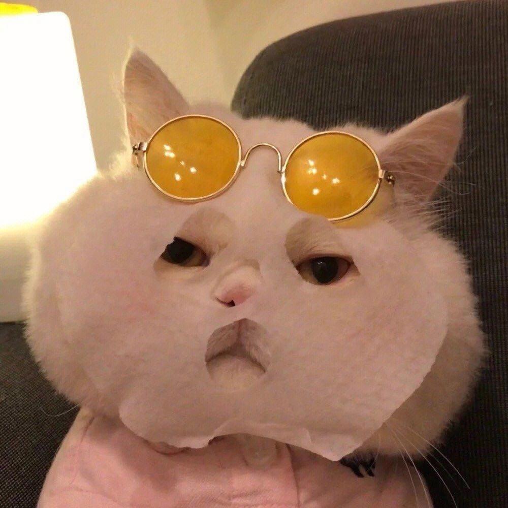 哇哇太空爱分享