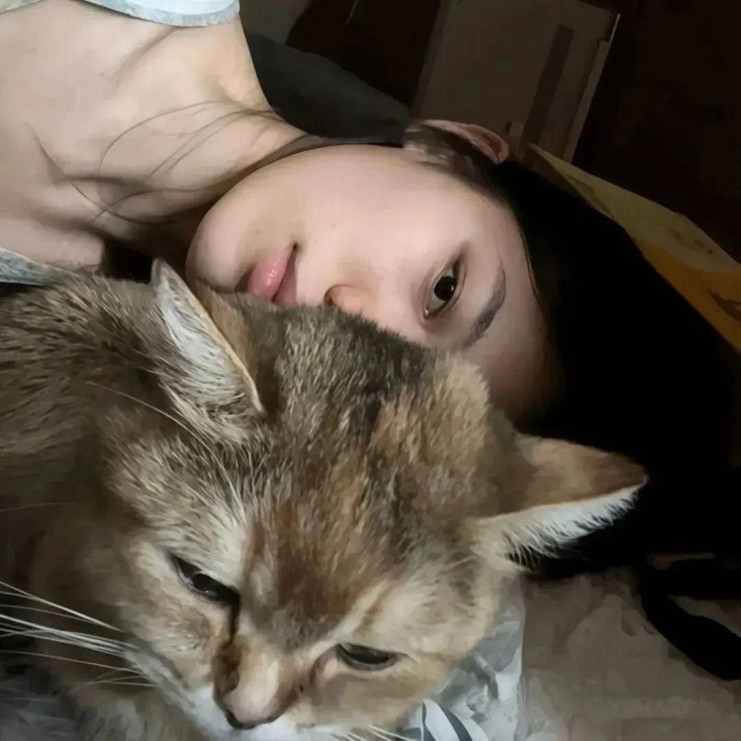 憔