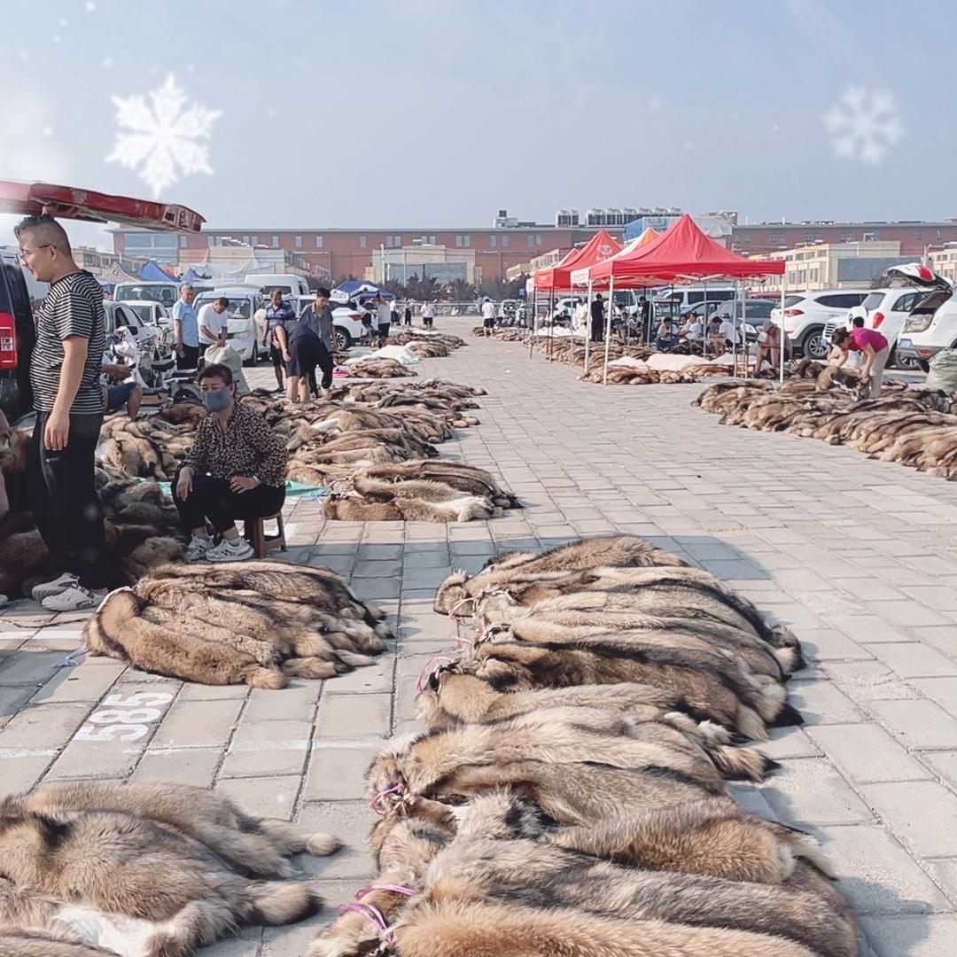 乖丫丫服装服饰店