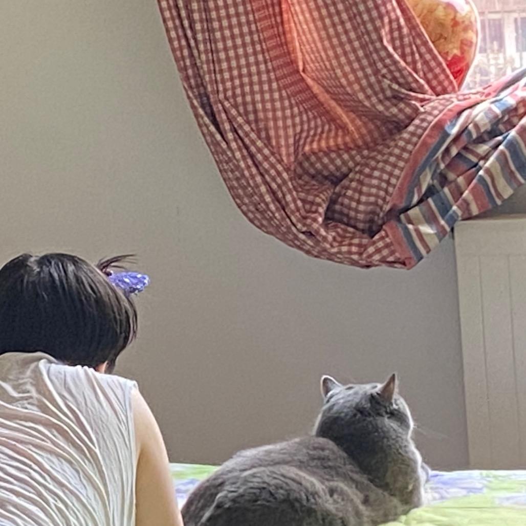 埃里思故肉饼饼