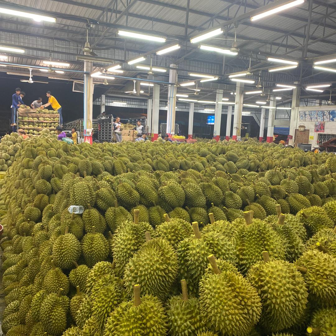 榴莲希望工厂