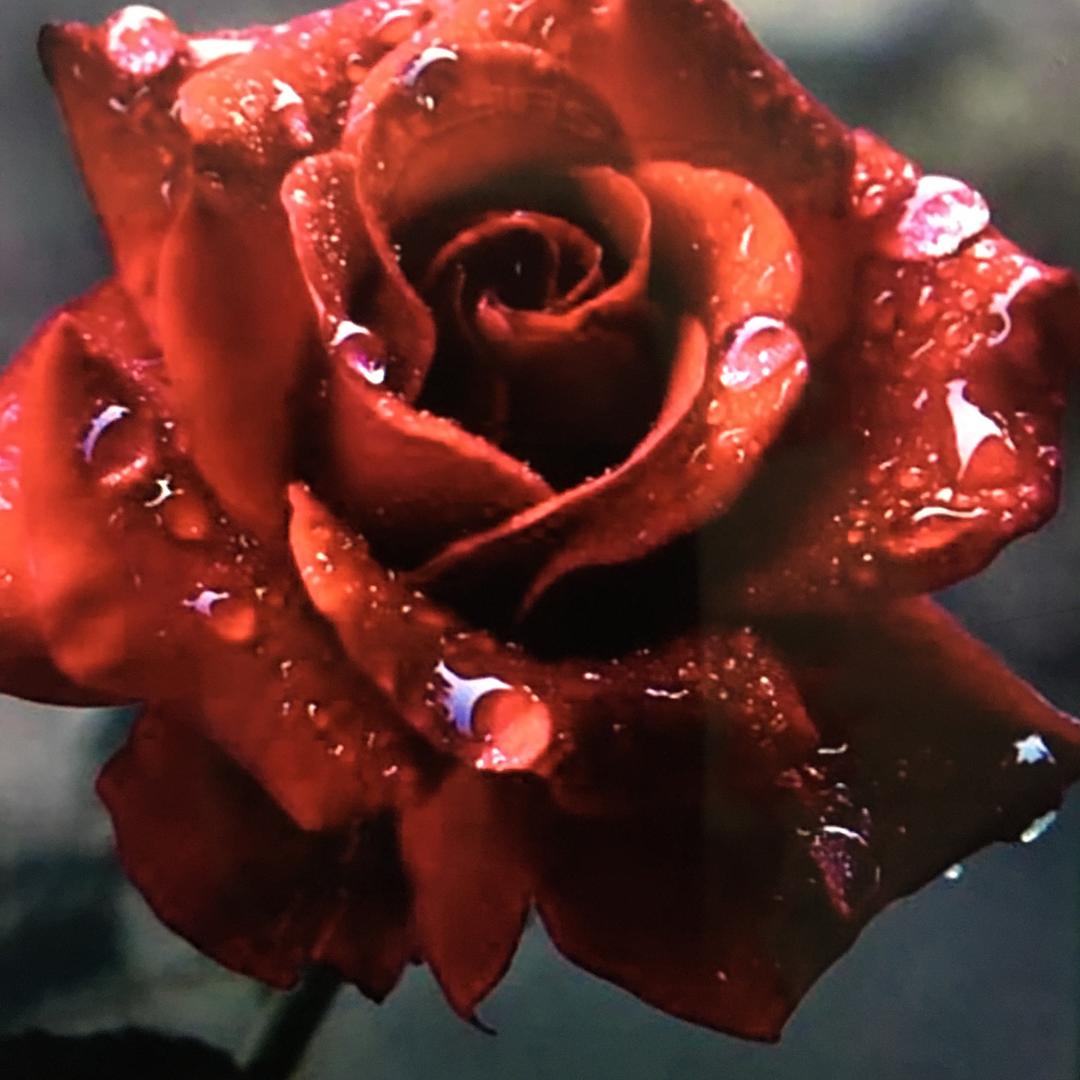 珍香大姐知心话