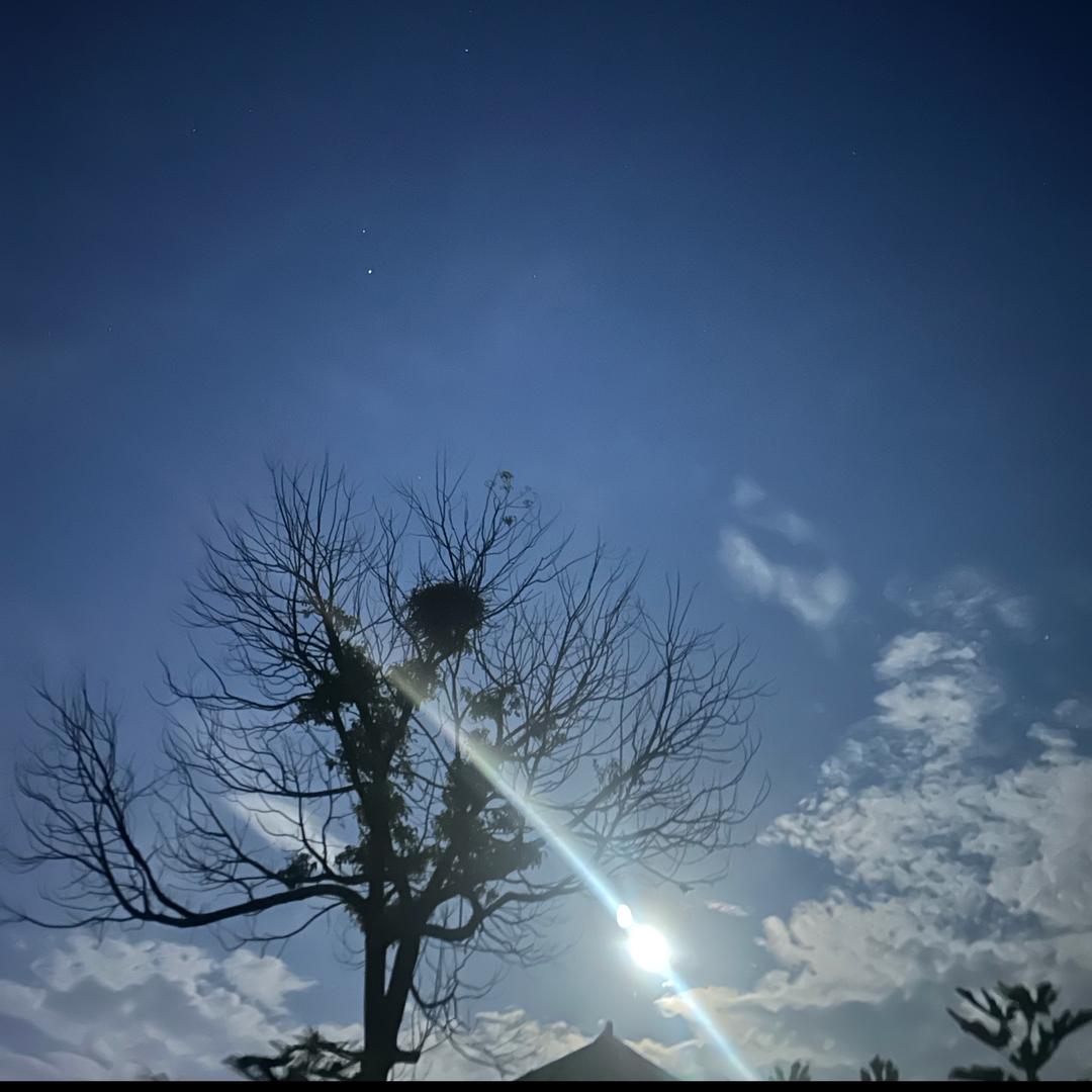 伊利意林牛奶专卖店