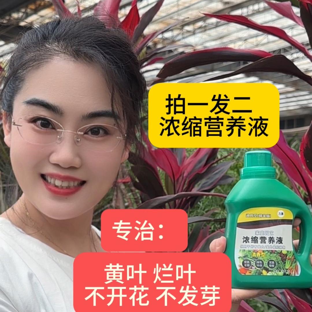 花卉绿植园艺肥料厂