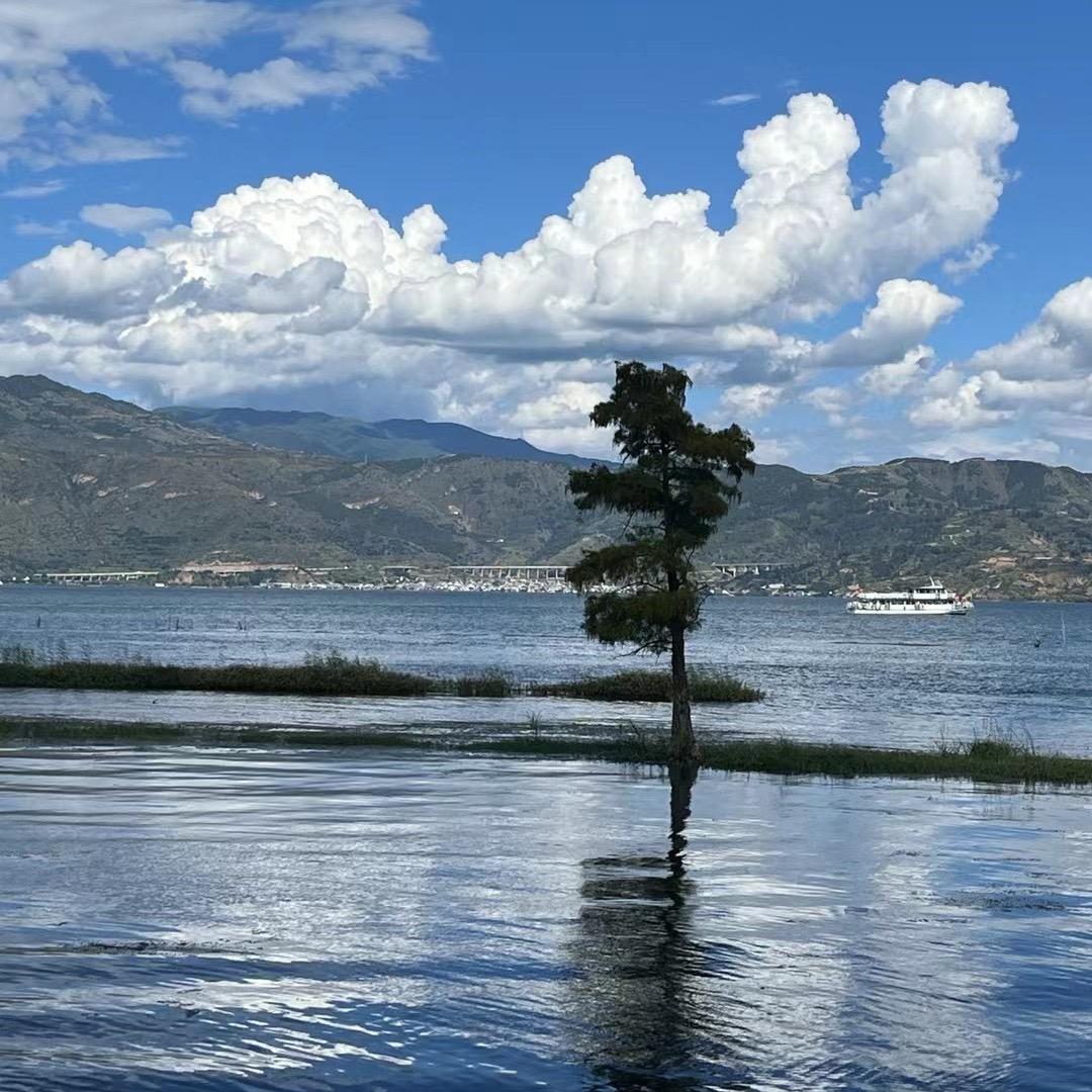 平淡