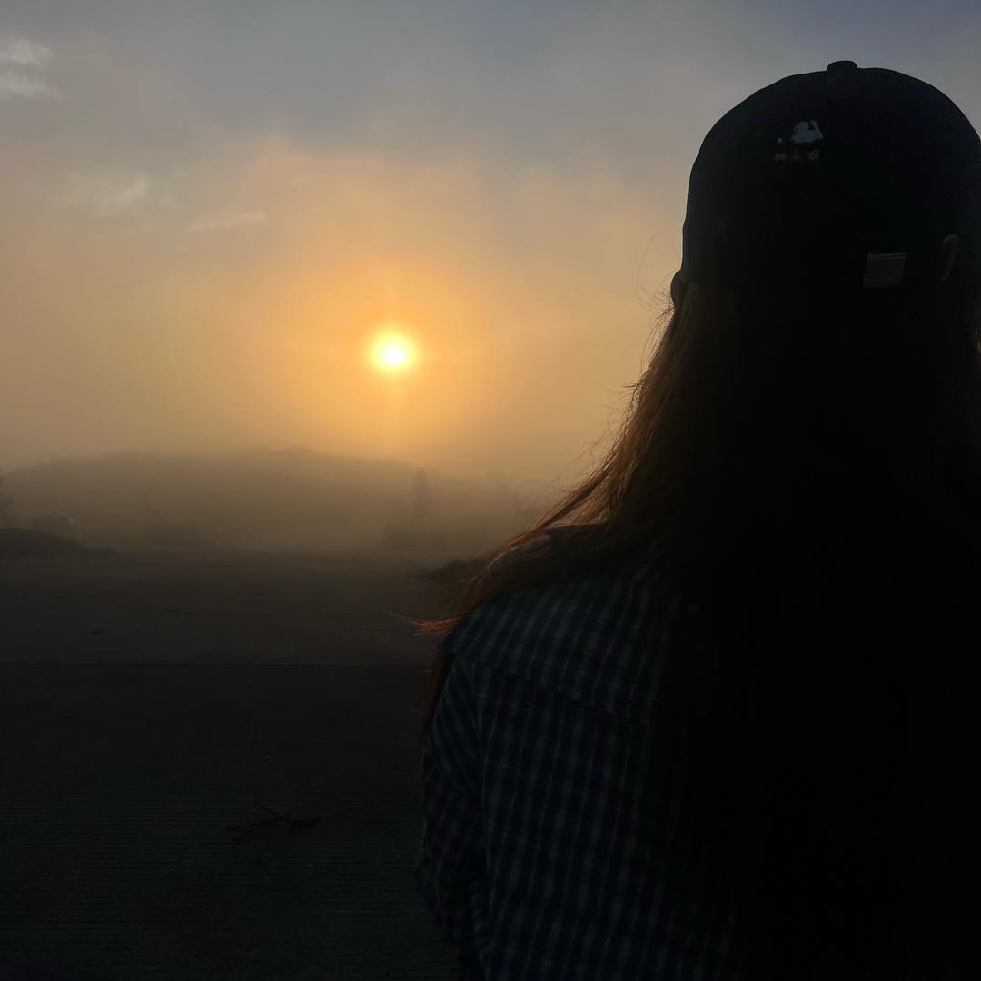 Ss🔖