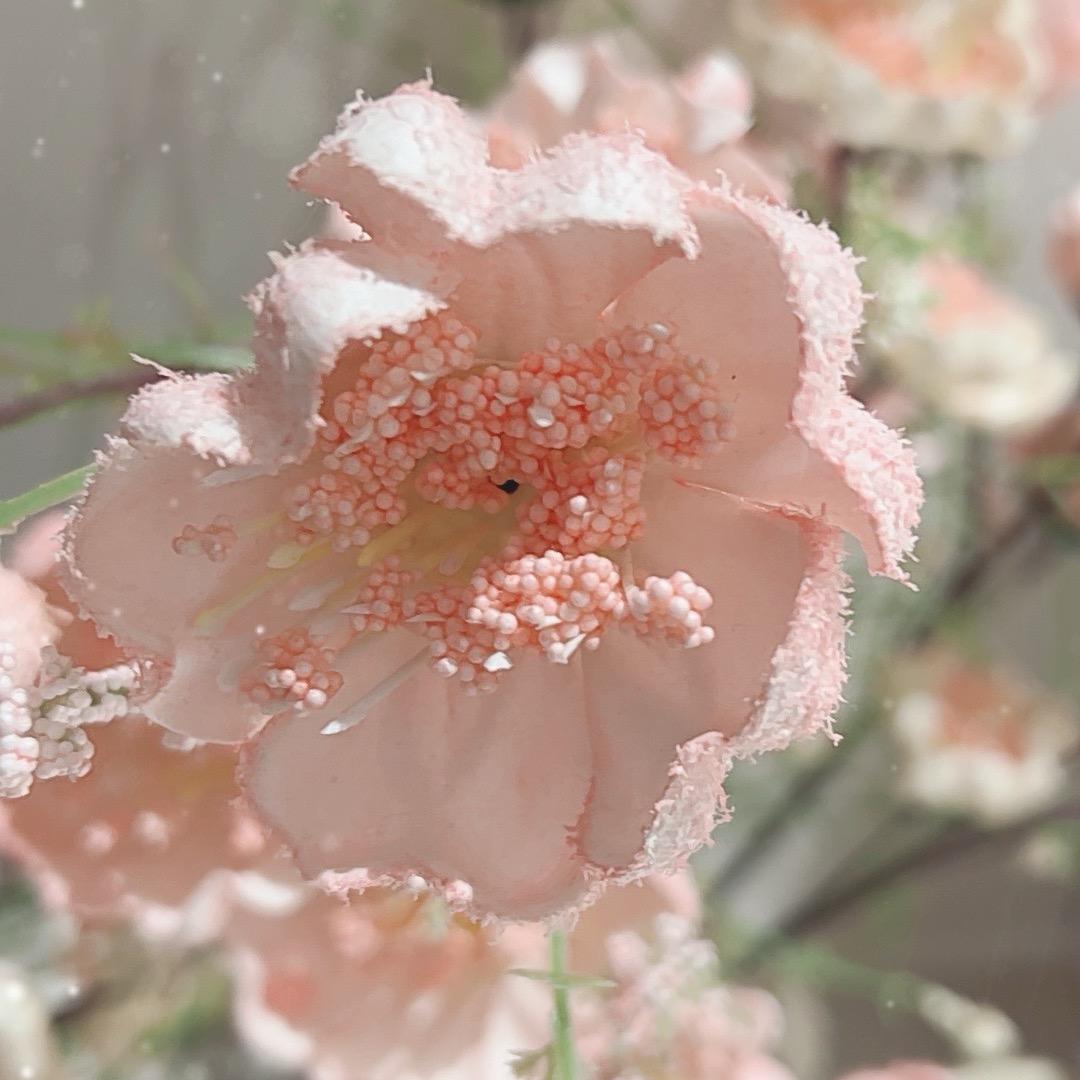 严💕💕❤️💕💕❤️❤️二