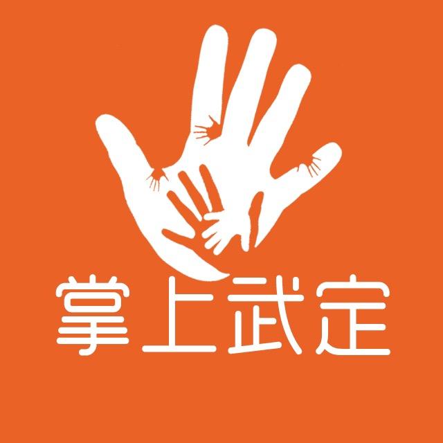 掌上武定