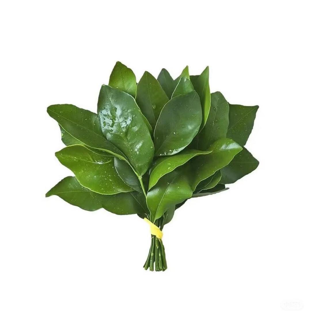 好好山山
