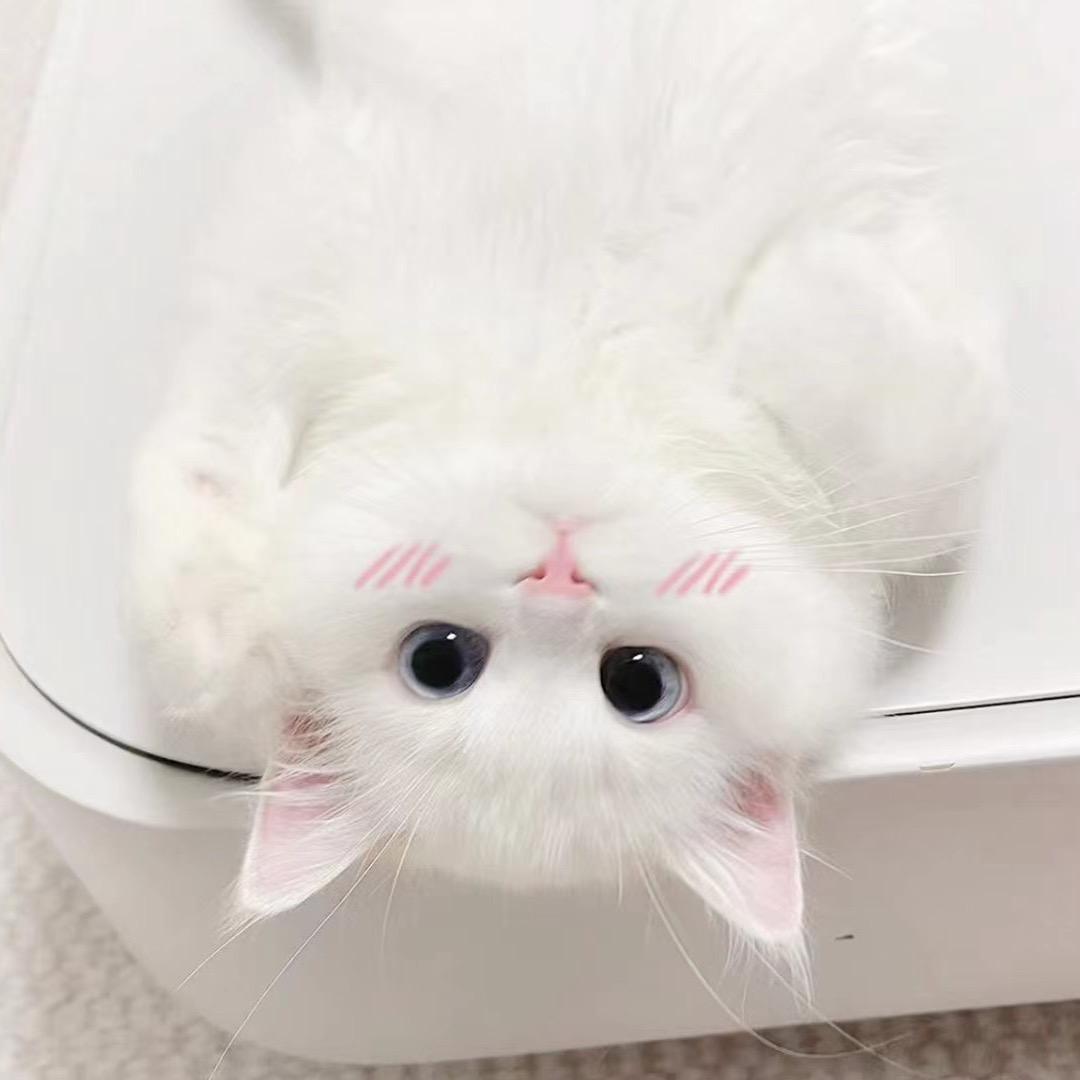 小涵.