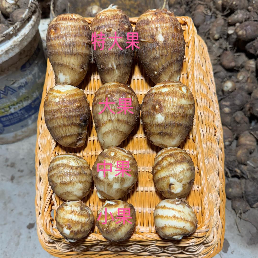 春澜农产品优选