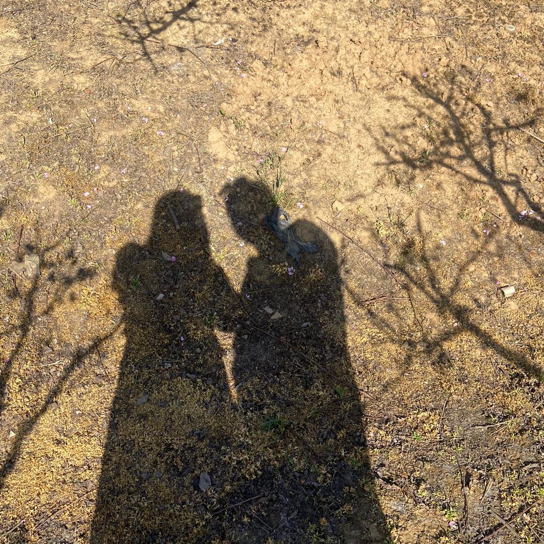 猪猪女孩👧